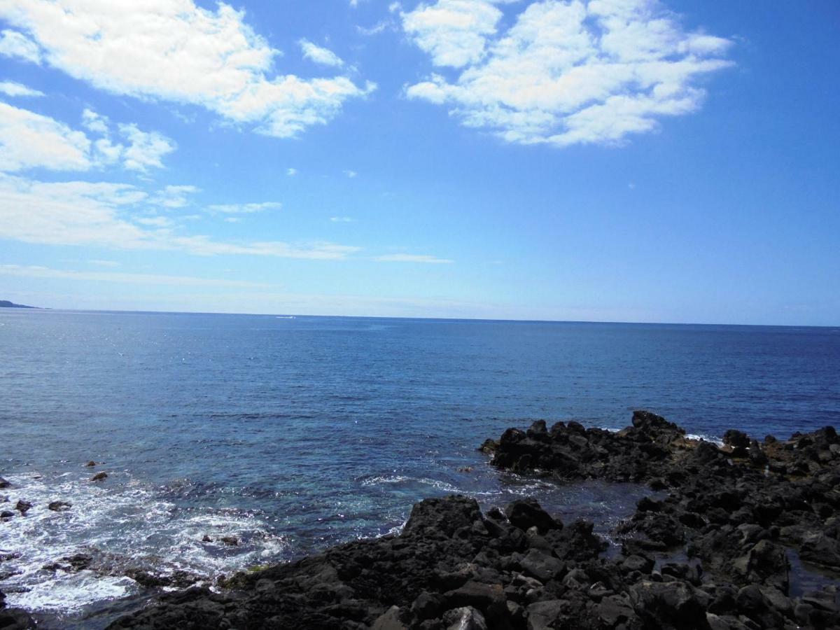 شقة Casa Da Flor Ponta Delgada المظهر الخارجي الصورة