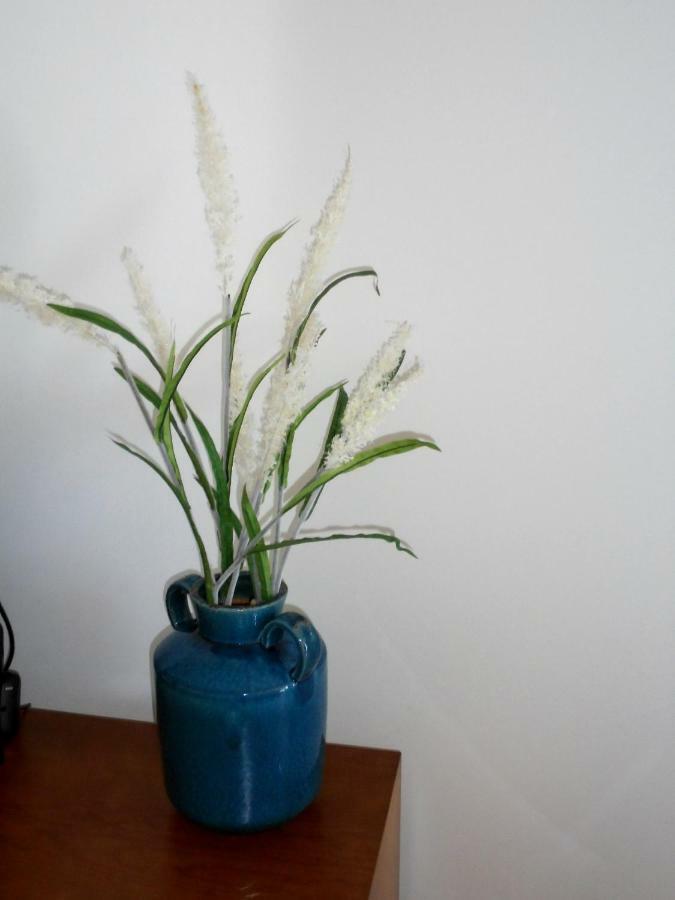 شقة Casa Da Flor Ponta Delgada المظهر الخارجي الصورة